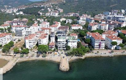 CB CLASS SATILIK YATIRIMLIK ZEYTİNLİK YALOVA ARMUTLU