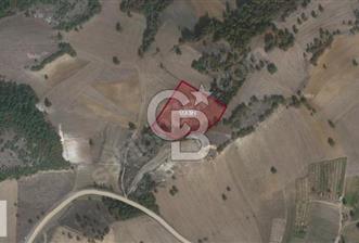 FIRSAT! Akalan'da 10.6 Dönüm Tek Tapu Uygun Fiyatlı Tarla - 8 - 343310