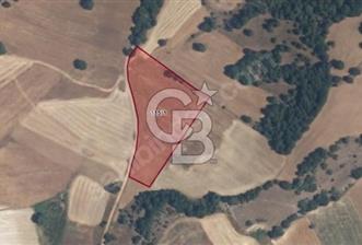 ACİL SATILIK! Orhaneli Akalan'da Yatırımlık 7.5 Dönüm Tarla - 6 - 343312