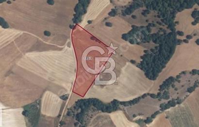 ACİL SATILIK! Orhaneli Akalan'da Yatırımlık 7.5 Dönüm Tarla