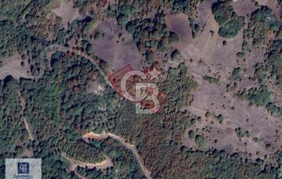 CB CLASS YENİŞEHİR REŞADİYE SATILIK 5 DÖNÜM YATIRIMLIK TARLA