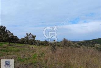 CB CLASS MUDANYA YALIÇİFTLİK TE 4603 M2 DENİZ MANZARALI TARLA - 1 - 343342