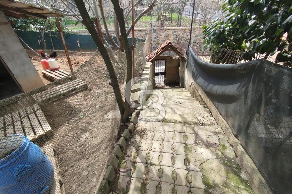 SATILIK BEYKOZDA ELMALI KÖYÜNDE MÜSTAKİL BAHÇELİ EV