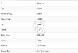 SAKARYA GEYVE KOZAN' DA YOL CEPHE FIRSAT ARAZİ - 2 - 343317