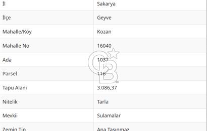 SAKARYA GEYVE KOZAN' DA YOL CEPHE FIRSAT ARAZİ