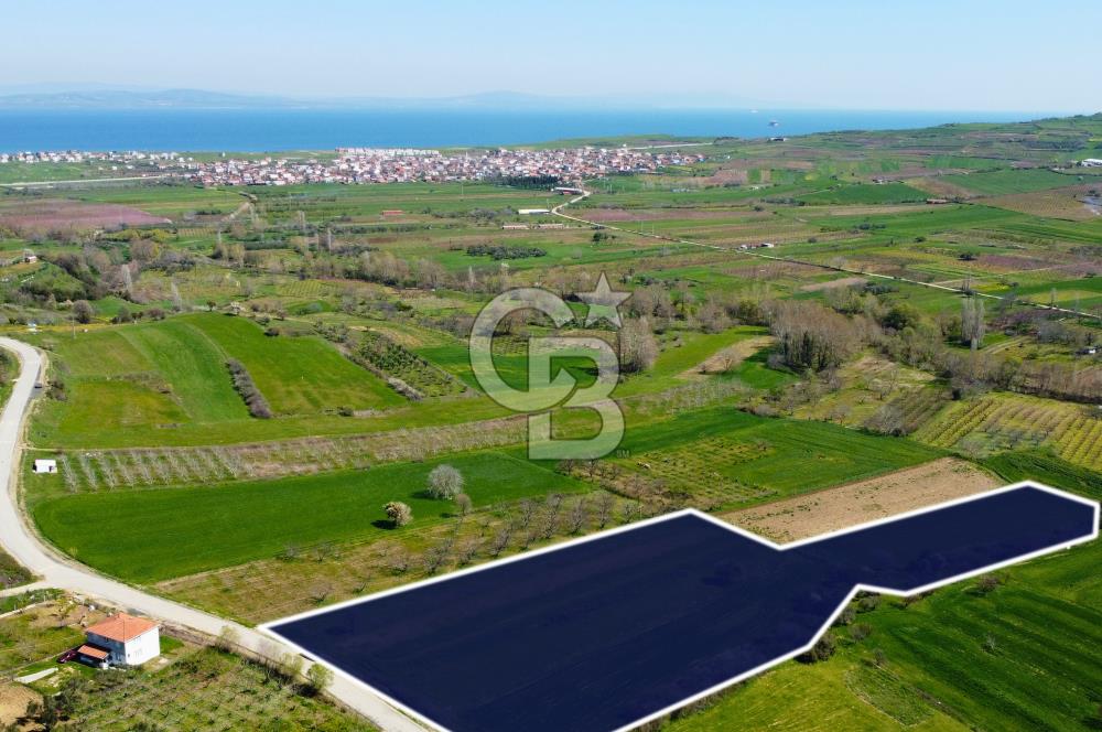 Çanakkale Lapseki Hacıömerler Köye Yakın İmarlı 13.936m² Arazi