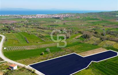 Çanakkale Lapseki Hacıömerler Köye Yakın İmarlı 13.936m² Arazi