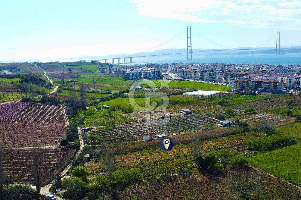 Çanakkale Lapseki GaziSüleymanPaşa İmara Çok Yakın Satılık Tarla