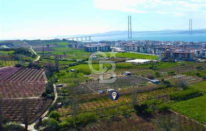 Çanakkale Lapseki GaziSüleymanPaşa İmara Çok Yakın Satılık Tarla