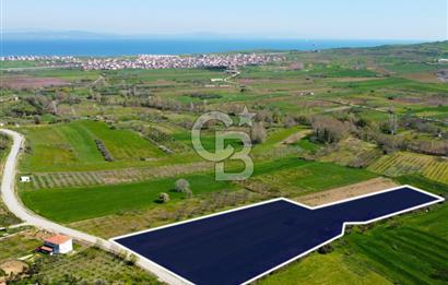 Çanakkale Lapseki Hacıömerler Köye Yakın İmarlı 13.936m² Arazi