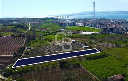 Çanakkale Lapseki GaziSüleymanPaşa İmara Çok Yakın Satılık Tarla