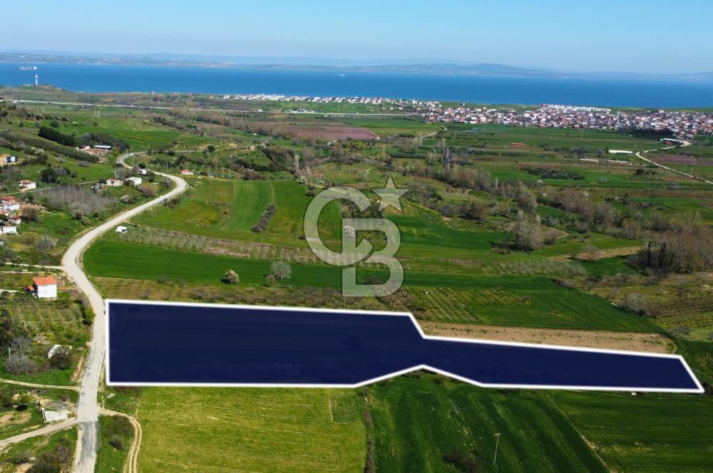 Çanakkale Lapseki Hacıömerler Köye Yakın İmarlı 13.936m² Arazi