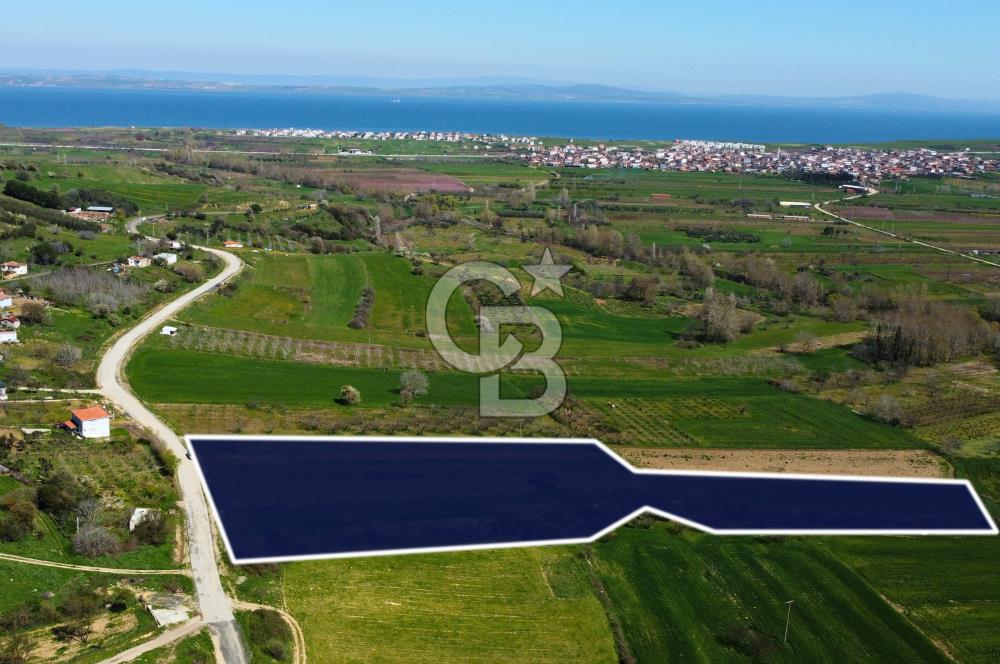 Çanakkale Lapseki Hacıömerler Köye Yakın İmarlı 13.936m² Arazi