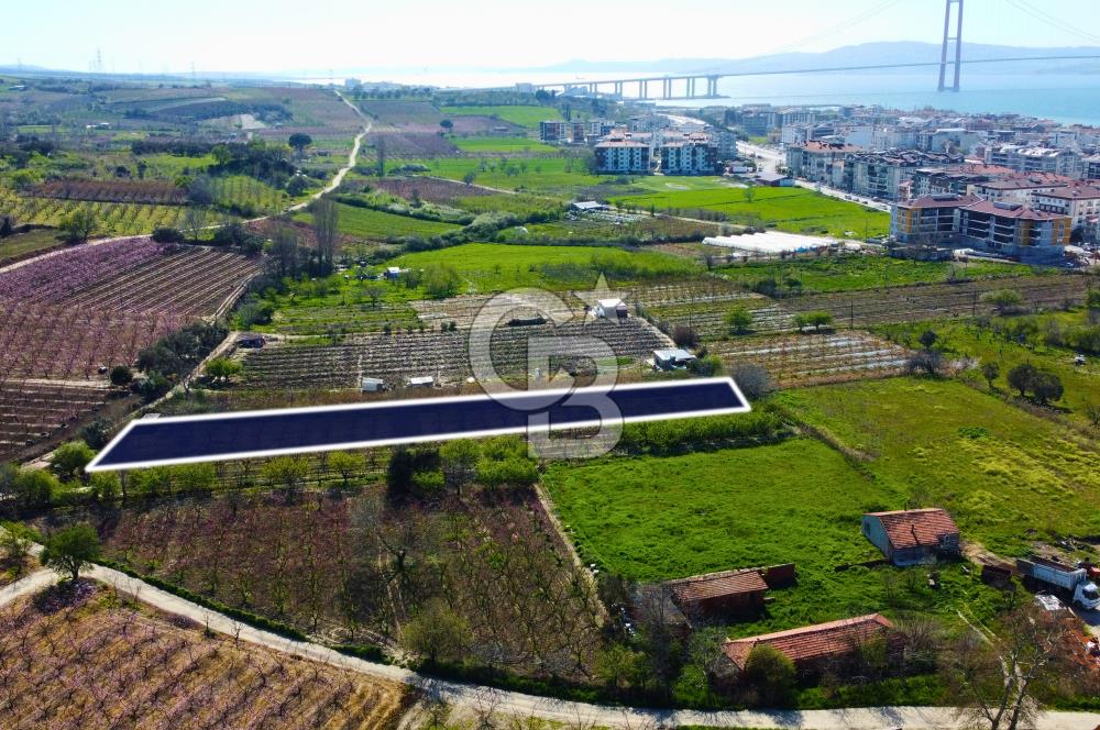 Çanakkale Lapseki GaziSüleymanPaşa İmara Çok Yakın Satılık Tarla