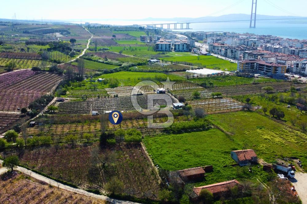 Çanakkale Lapseki GaziSüleymanPaşa İmara Çok Yakın Satılık Tarla