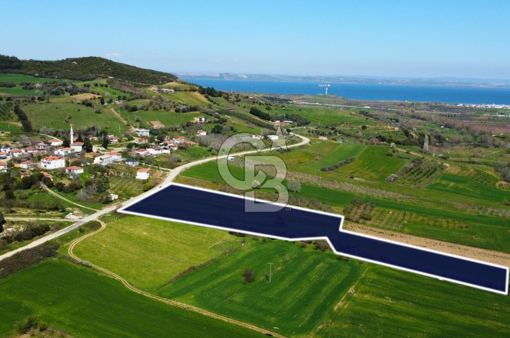 Çanakkale Lapseki Hacıömerler Köye Yakın İmarlı 13.936m² Arazi