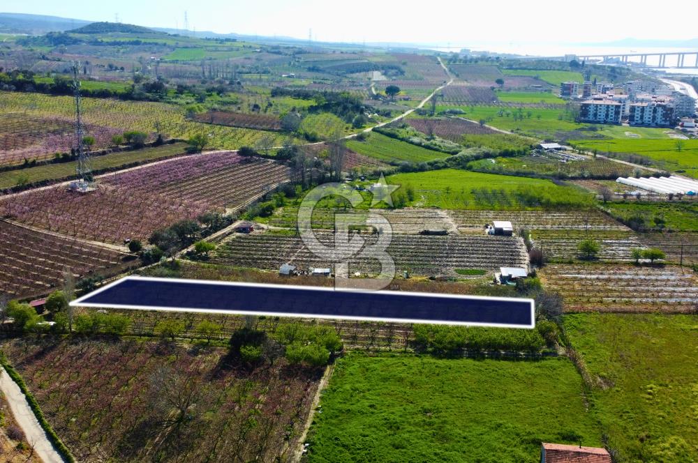Çanakkale Lapseki GaziSüleymanPaşa İmara Çok Yakın Satılık Tarla