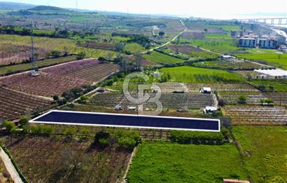 Çanakkale Lapseki GaziSüleymanPaşa İmara Çok Yakın Satılık Tarla