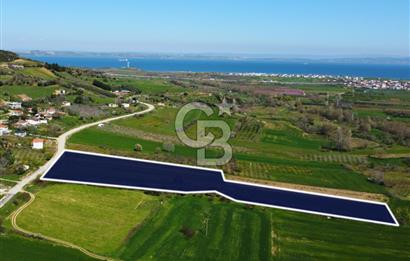 Çanakkale Lapseki Hacıömerler Köye Yakın İmarlı 13.936m² Arazi