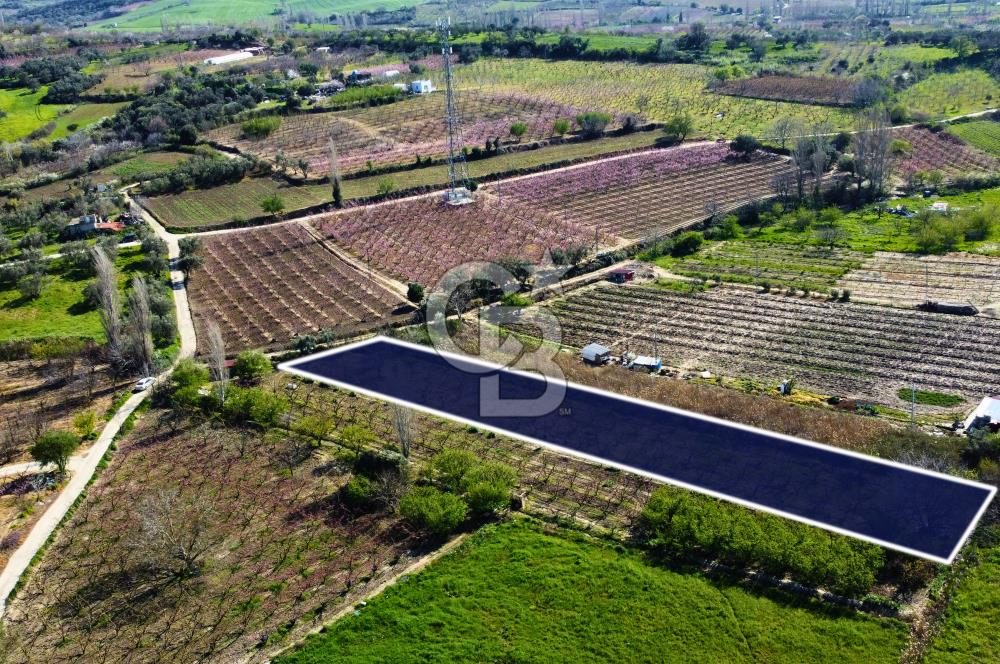 Çanakkale Lapseki GaziSüleymanPaşa İmara Çok Yakın Satılık Tarla