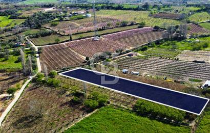 Çanakkale Lapseki GaziSüleymanPaşa İmara Çok Yakın Satılık Tarla