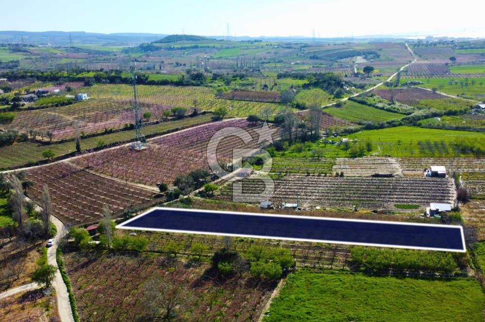 Çanakkale Lapseki GaziSüleymanPaşa İmara Çok Yakın Satılık Tarla