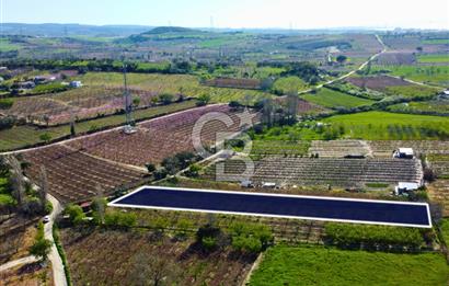 Çanakkale Lapseki GaziSüleymanPaşa İmara Çok Yakın Satılık Tarla
