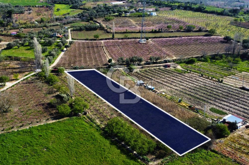 Çanakkale Lapseki GaziSüleymanPaşa İmara Çok Yakın Satılık Tarla