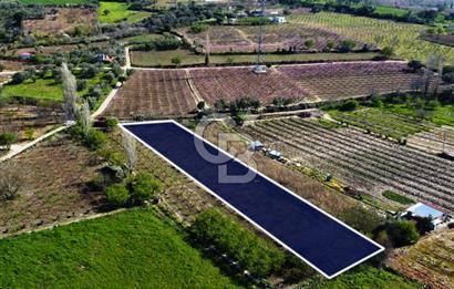 Çanakkale Lapseki GaziSüleymanPaşa İmara Çok Yakın Satılık Tarla