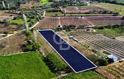 Çanakkale Lapseki GaziSüleymanPaşa İmara Çok Yakın Satılık Tarla