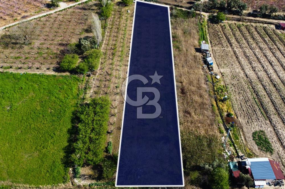 Çanakkale Lapseki GaziSüleymanPaşa İmara Çok Yakın Satılık Tarla