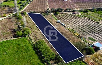 Çanakkale Lapseki GaziSüleymanPaşa İmara Çok Yakın Satılık Tarla