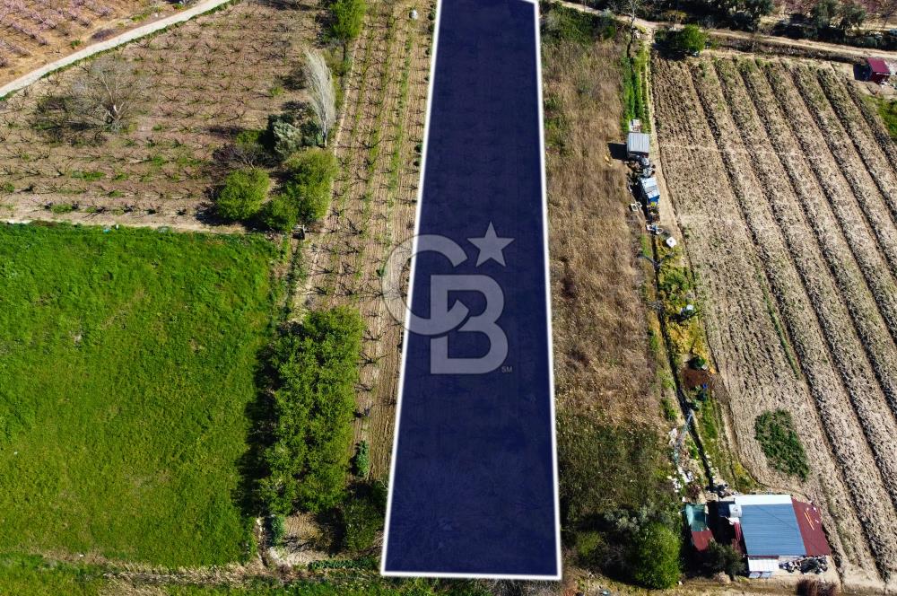 Çanakkale Lapseki GaziSüleymanPaşa İmara Çok Yakın Satılık Tarla