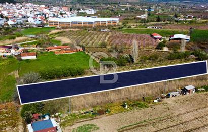 Çanakkale Lapseki GaziSüleymanPaşa İmara Çok Yakın Satılık Tarla