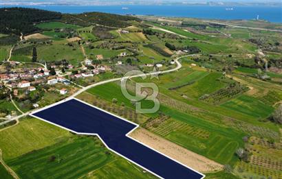 Çanakkale Lapseki Hacıömerler Köye Yakın İmarlı 13.936m² Arazi
