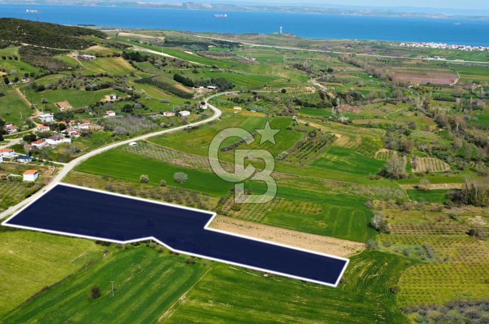 Çanakkale Lapseki Hacıömerler Köye Yakın İmarlı 13.936m² Arazi
