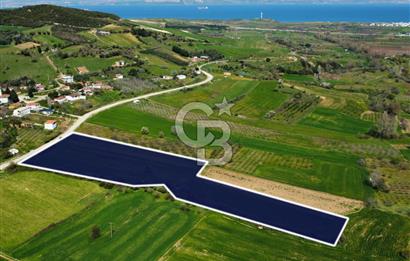 Çanakkale Lapseki Hacıömerler Köye Yakın İmarlı 13.936m² Arazi