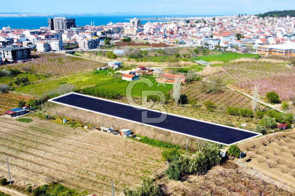 Çanakkale Lapseki GaziSüleymanPaşa İmara Çok Yakın Satılık Tarla