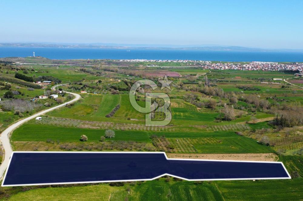 Çanakkale Lapseki Hacıömerler Köye Yakın İmarlı 13.936m² Arazi