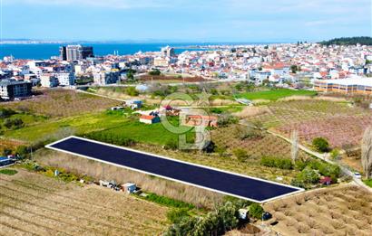 Çanakkale Lapseki GaziSüleymanPaşa İmara Çok Yakın Satılık Tarla