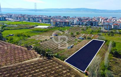 Çanakkale Lapseki GaziSüleymanPaşa İmara Çok Yakın Satılık Tarla