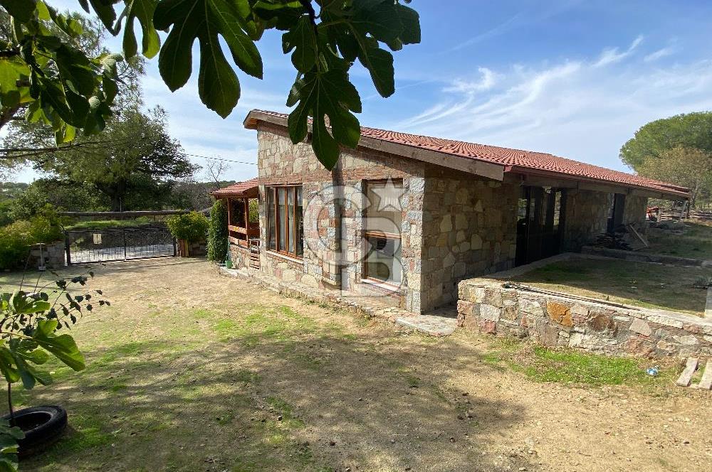  Kozak Yaylası’nda Satılık Doğayla İç İçe Taş Ev – 2.934 m² Arsa Üzerinde 