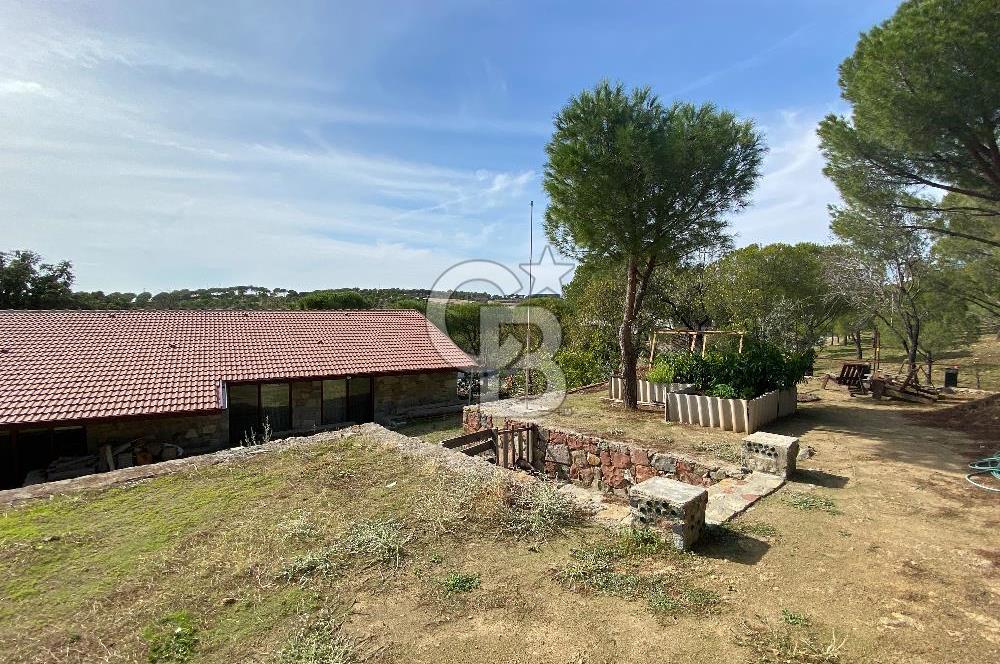  Kozak Yaylası’nda Satılık Doğayla İç İçe Taş Ev – 2.934 m² Arsa Üzerinde 