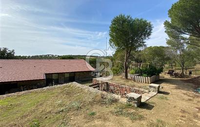  Kozak Yaylası’nda Satılık Doğayla İç İçe Taş Ev – 2.934 m² Arsa Üzerinde 