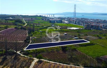 Çanakkale Lapseki GaziSüleymanPaşa İmara Çok Yakın Satılık Tarla