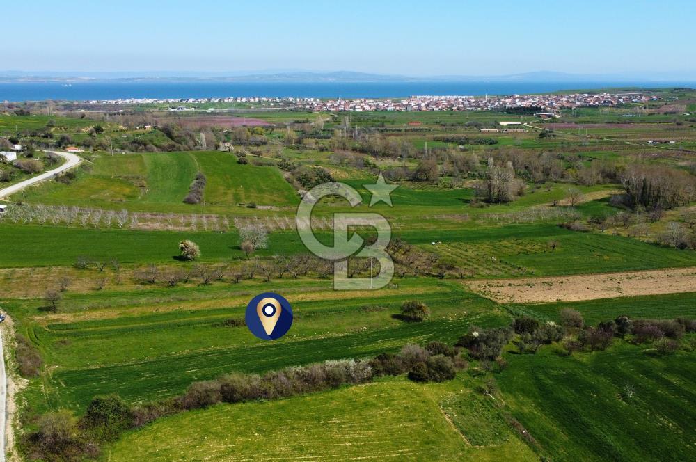 Çanakkale Lapseki Hacıömerler Köye Yakın İmarlı 13.936m² Arazi