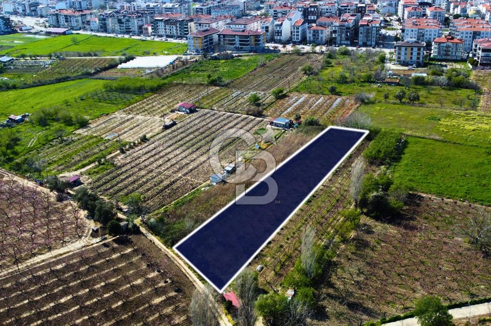 Çanakkale Lapseki GaziSüleymanPaşa İmara Çok Yakın Satılık Tarla