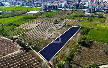 Çanakkale Lapseki GaziSüleymanPaşa İmara Çok Yakın Satılık Tarla