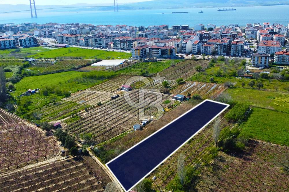 Çanakkale Lapseki GaziSüleymanPaşa İmara Çok Yakın Satılık Tarla
