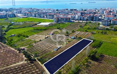 Çanakkale Lapseki GaziSüleymanPaşa İmara Çok Yakın Satılık Tarla